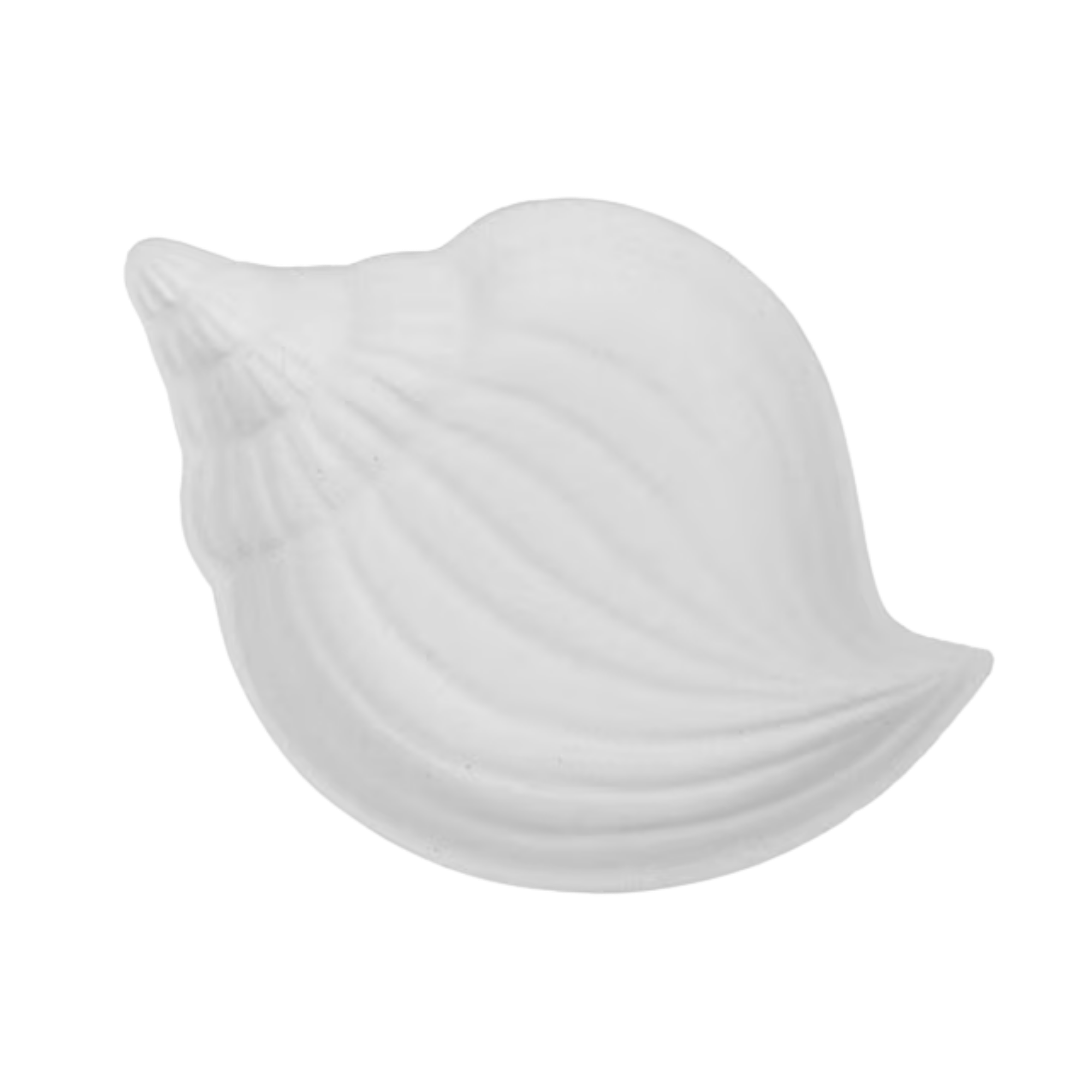 Shell Plate