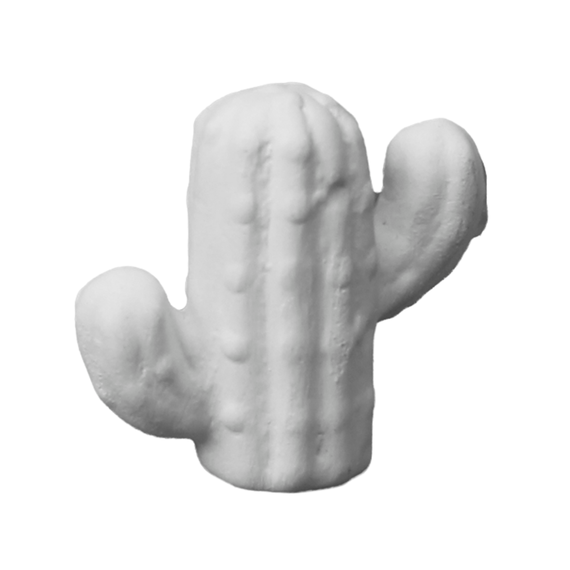 Cactus Mini