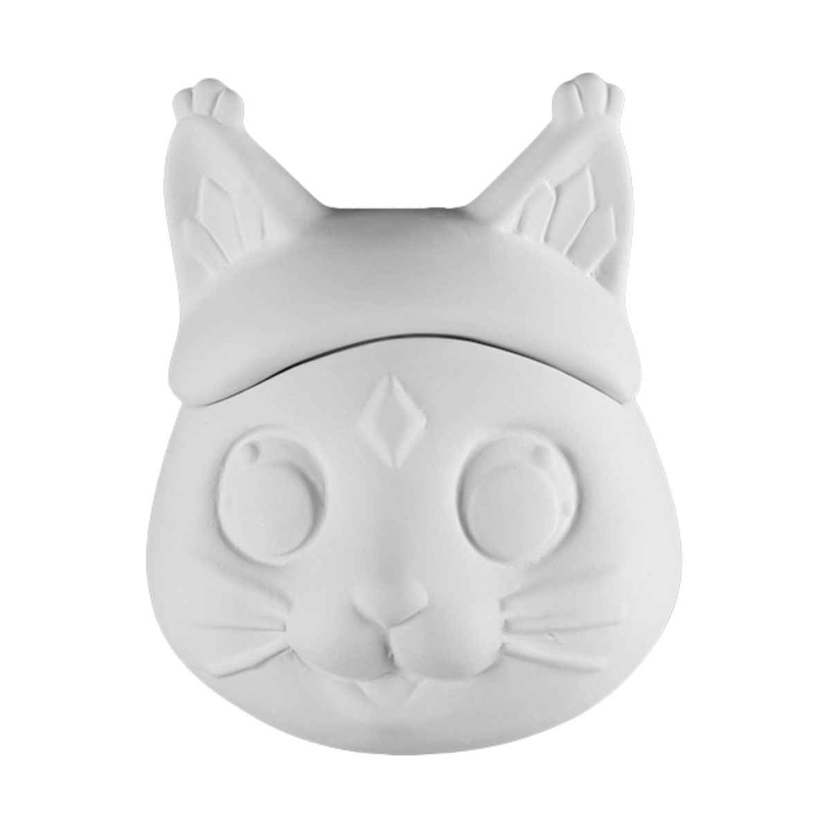 Cat Box