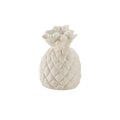 Pineapple Mini